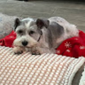 Meet your Posher, Rosemarie